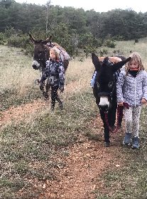 Fed' Ane - Balades et randonnées avec un âne, OFFICE DE TOURISME DE MILLAU