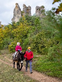 Fed' Ane - Balades et randonnées avec un âne, OFFICE DE TOURISME DE MILLAU