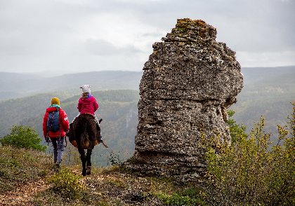 Fed' Ane - Balades et randonnées avec un âne, OFFICE DE TOURISME DE MILLAU