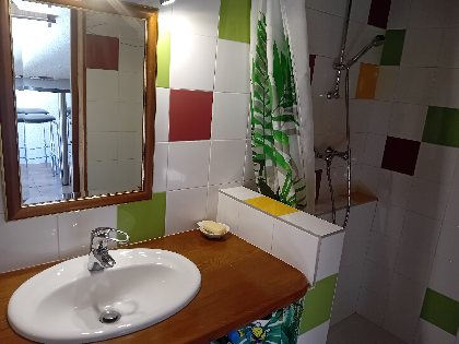 RDC salle de douche, Mestdagh