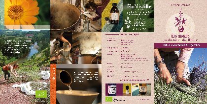 Elo'Distille, Elo'Distille