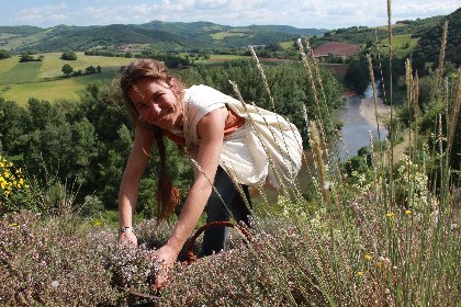 Elo'Distille, Elo'Distille