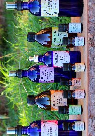 Elo'Distille, Elo'Distille