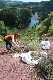 Elo'Distille, Fred Garrigues