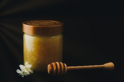 Rencontre avec l'apiculteur/castanéiculteur cransacois