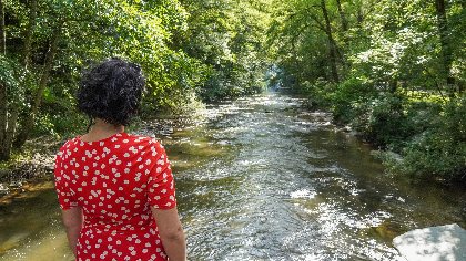 Le Viaur à Versailles, Hoop des Bois