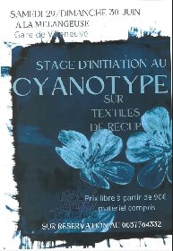 Stage d'initiation au Cyanotype