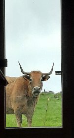 Le Buron de Jealucine, Office de Tourisme en Aubrac
