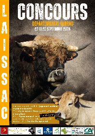 Concours départemental de la Race Aubrac à Laissac