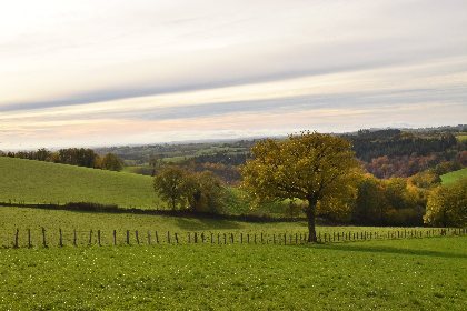 Randonnée Lardeyrolles, OFFICE DE TOURISME PAYS SEGALI