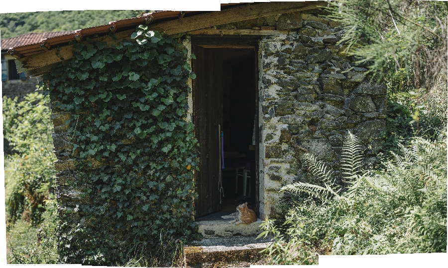 Domaine de La Bastidie - Le Sécadou