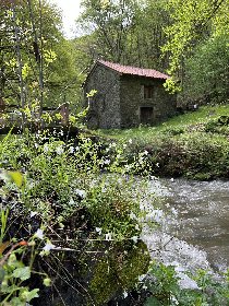 Domaine de la Bastidie - La cabane dans les bois