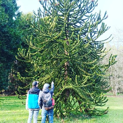 Vulgaris Terra, Vulgaris Terra