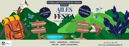 Ailes Fèsta