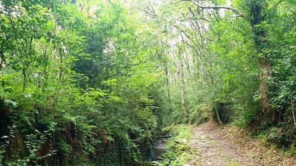 N°18 - Se mettre au vert, OFFICE DE TOURISME PAYS DU ROQUEFORT 