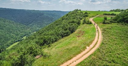 N°16 VTT - Montagnes russes grandeur nature, OFFICE DE TOURISME PAYS DU ROQUEFORT 
