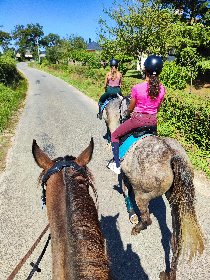 Club équestre Le Diplodocus, Club equestre Le Diplodocus