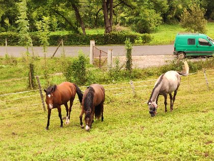 Club équestre Le Diplodocus, Club equestre Le Diplodocus
