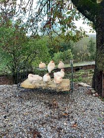 Gîte de la Loubière, D.Planchon